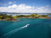 Bay of Islands Dolphin Cruise from Auckland Paihia
