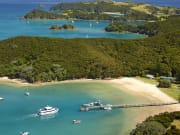 Bay of Islands Dolphin Cruise Paihia from Auckland
