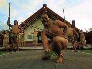 Auckland to Rotorua Maori Cultural Performance