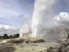 Auckland to Rotorua Whakarewarewa Pohutu Geyser