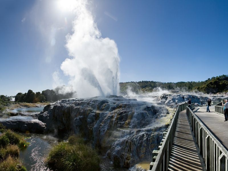 Auckland to Rotorua Day Tour Te Puia Geysers