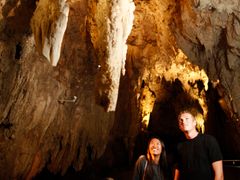 Waitomo Glowworm Caves Tour from Auckland
