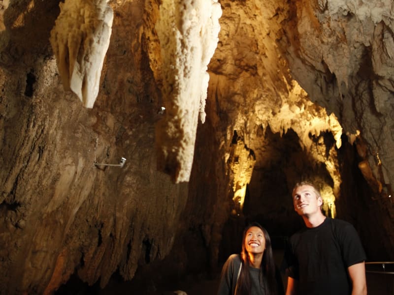 Waitomo Glowworm Caves Tour from Auckland 