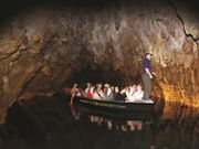 Waitomo Glowworm Caves Experience Auckland