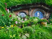 Hobbiton Movie Set Day Trips from Auckland