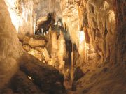 Waitomo Glowworm Caves (2)