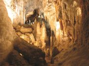 Waitomo Glowworm Caves Limestone Formations