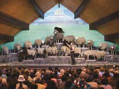 Agrodome Sheep Shearing Show Rotoura Half-Day Tour