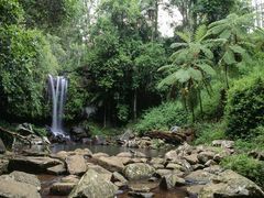 Tamborine National Park