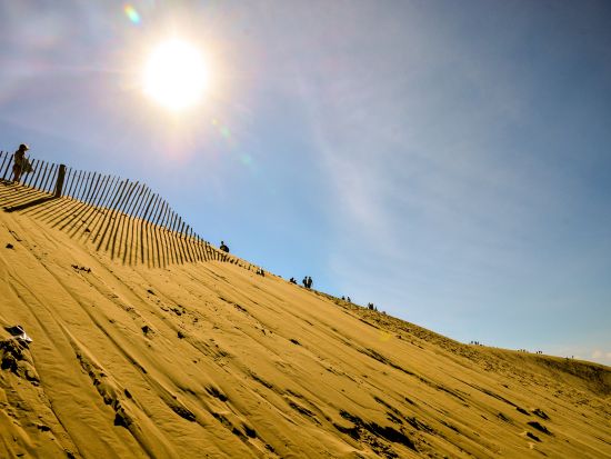 ピラ砂丘とアルカッション散策　ボルドー・グラーヴ地区のシャトー訪問あり＜試飲付／日本語ドライバー／ボルドー発着＞
