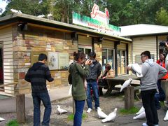 Grants Picnic Ground