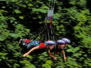 Cairns AJ Hackett Giant Jungle Swing
