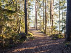 shutterstock_220321984