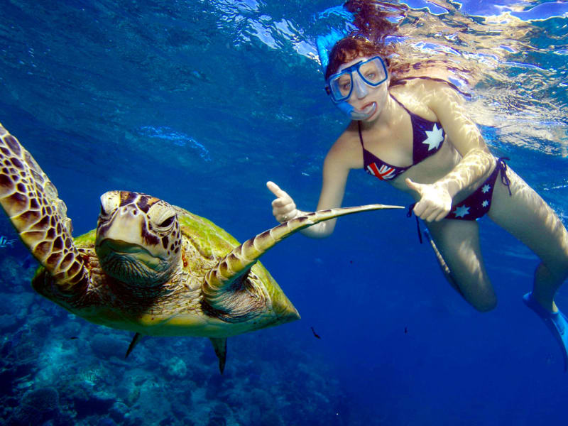 great barrier reef woman snorkeling turtle