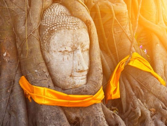 【貸切チャーター】 バンコク市内・アユタヤなどの郊外も自由に観光＜1～9名／3～17時間／ベテラン日本語ガイド／空港発着可＞