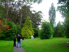 Hobart City Tour