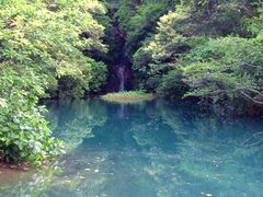 16image