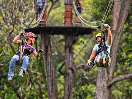 コハラ地区 ジップライン＆吊り橋渡り体験　滝つぼ遊び付きプランあり ＜英語インストラクター＞