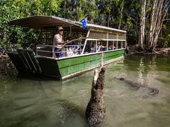 Hartley's Crocodile boat ride crocodile feeding