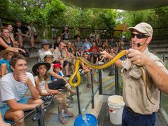 Snake Show hartley's zoo australia full day tour