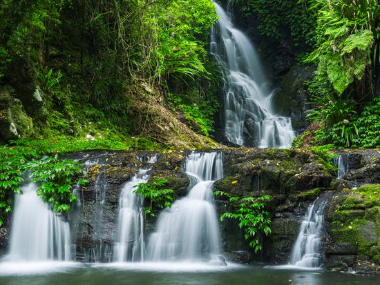 Lamington National Park