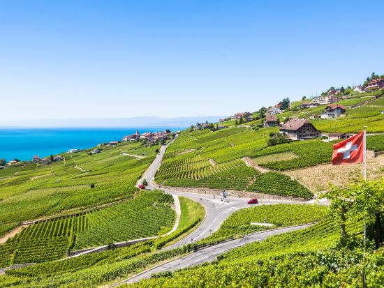 チャーリー・チャップリンゆかりの地ツアー　ヴヴェイ＆ラヴォー＆モントルー ＜英語ドライバーガイド／ジュネーブ発＞