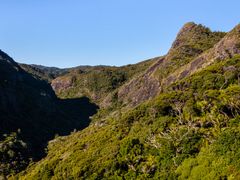 Waitakere Ranges Auckland Tour