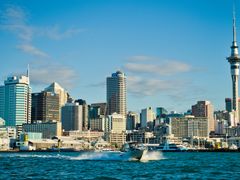 Auckland Small-Group Guided City Tour