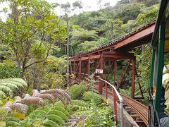 Coromandel Peninsular Tour Driving Creek Railway