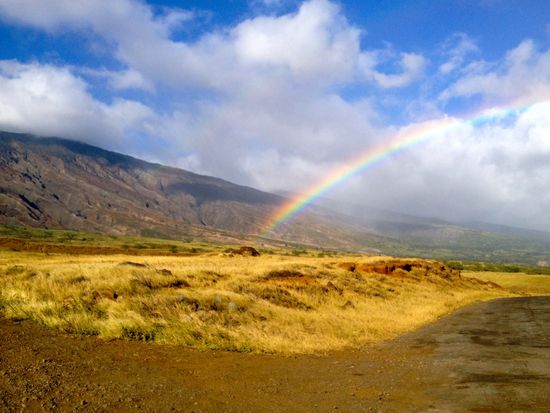 Hawaii_Maui_Hana_Holo Holo Maui_Circle of Feet