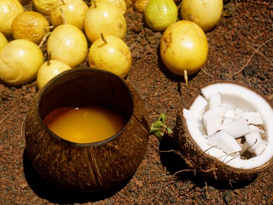 Hawaii_Maui_Hana_Holo Holo Maui_Circle of Feet