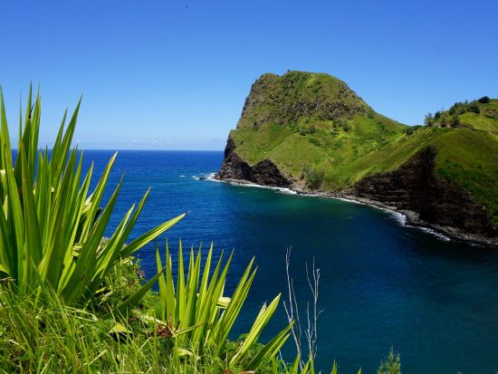 マウイ島観光　西マウイの見どころとイアオ渓谷をめぐるプライベートツアー＜貸切／英語ガイド＞