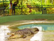 underwater_World_and_Crocodile_Farm (4)