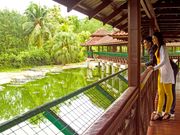 underwater_World_and_Crocodile_Farm (4)