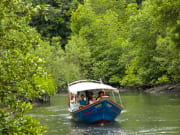 langkawi mangrove forest boat ride