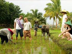 Langkawi island farmer and travelers in rice field