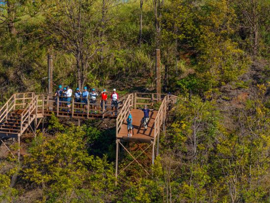 ジップライン8本ツアー　カアナパリから広大な太平洋を一望！＜英語ガイド＞