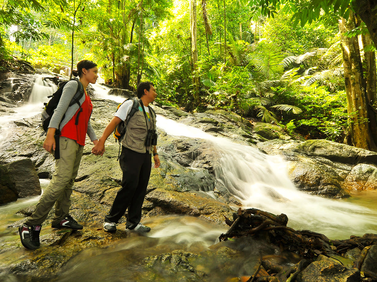 Kuala Lumpur Rainforest Adventure Half Day Tour tours, activities 