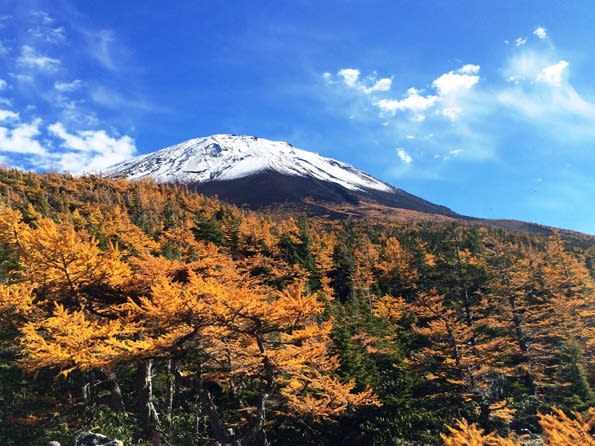 富士五湖 定期観光バス 富士山五合目・忍野八海・冨士浅間神社などを巡る＜4～11月／河口湖駅・富士急ハイランド発＞ | 山梨の観光&遊び・体験・レジャー専門予約サイト  VELTRA(ベルトラ)