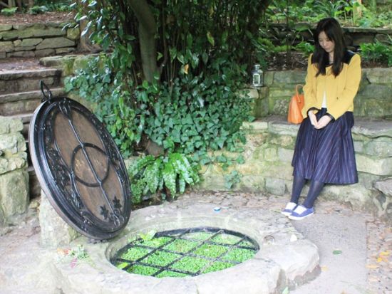 【貸切】ストーンヘンジ＆グラストンベリー＆エーヴベリー1日観光ツアー ロンドン・パワースポット巡り＜専用車／日本語／ロンドン発＞