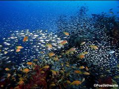 Bali_Amed (4)