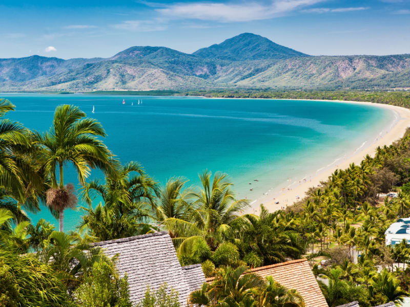 tours in cairns and port douglas