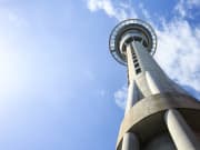 Auckland City Tour with Sky Tower Admission