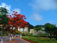 Hai_Phong (2)