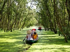 Mekong Delta