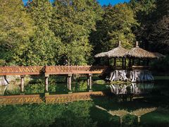 pic_10949_11