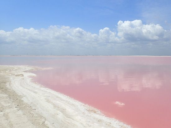 絶景セノーテ2選（シケケン&サムラ）＋ピンクレイク＋バジャドリード周遊日帰りツアー＜日本語スタッフ同行／往復送迎付／カンクンまたはプラヤデルカルメン発＞