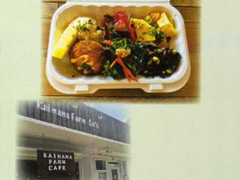 Oahu_Nature and You_lunch box kaimana