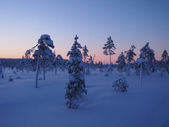 Northern Lights Showshoe Hiking Tour from Rovaniemi tours, activities ...