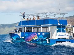 HawaiiEco-2